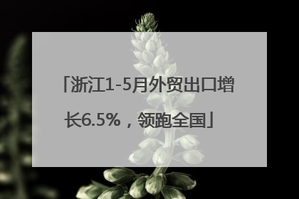 浙江1-5月外贸出口增长6.5%，领跑全国