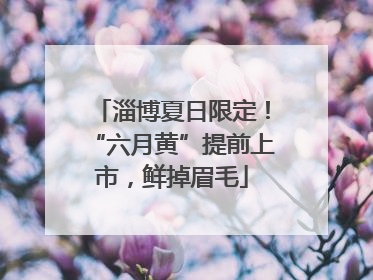 淄博夏日限定！“六月黄”提前上市，鲜掉眉毛