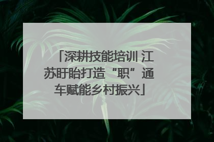 深耕技能培训 江苏盱眙打造“职”通车赋能乡村振兴