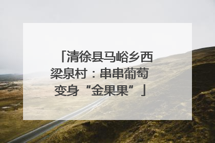 清徐县马峪乡西梁泉村：串串葡萄变身“金果果”