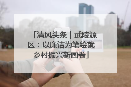 清风头条｜武陵源区：以廉洁为笔绘就乡村振兴新画卷