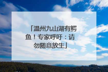 温州九山湖有鳄鱼！专家呼吁：请勿随意放生