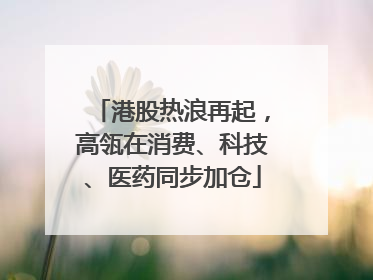 港股热浪再起，高瓴在消费、科技、医药同步加仓