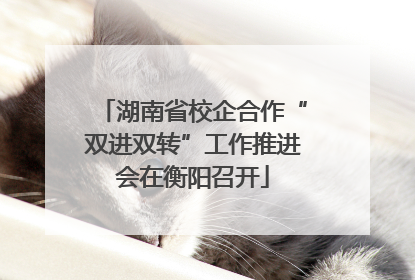 湖南省校企合作“双进双转”工作推进会在衡阳召开