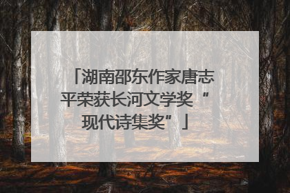 湖南邵东作家唐志平荣获长河文学奖“现代诗集奖”