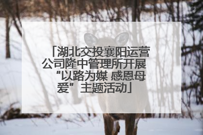湖北交投襄阳运营公司隆中管理所开展“以路为媒 感恩母爱”主题活动
