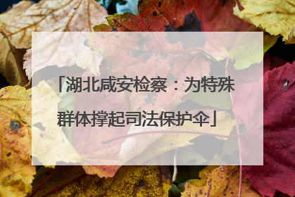 湖北咸安检察：为特殊群体撑起司法保护伞