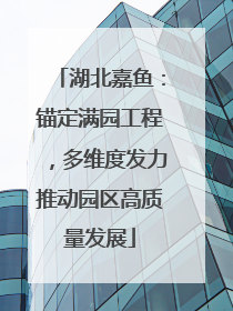 湖北嘉鱼：锚定满园工程，多维度发力推动园区高质量发展