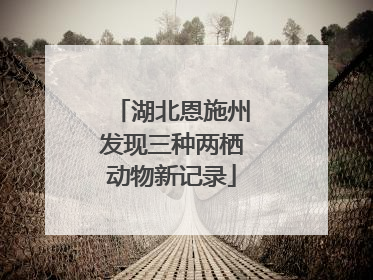 湖北恩施州发现三种两栖动物新记录