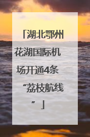 湖北鄂州花湖国际机场开通4条“荔枝航线”