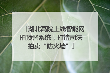 湖北高院上线智能网拍预警系统，打造司法拍卖“防火墙”