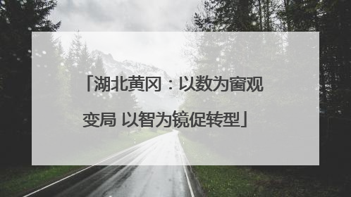 湖北黄冈：以数为窗观变局 以智为镜促转型