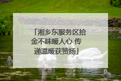 湘乡东服务区拾金不昧暖人心 传递温暖获赞扬