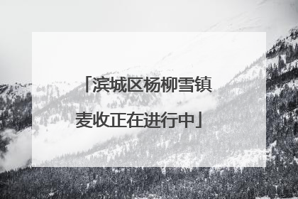 滨城区杨柳雪镇麦收正在进行中