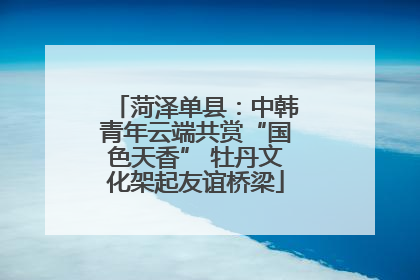 菏泽单县：中韩青年云端共赏“国色天香” 牡丹文化架起友谊桥梁