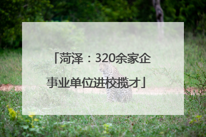 菏泽：320余家企事业单位进校揽才