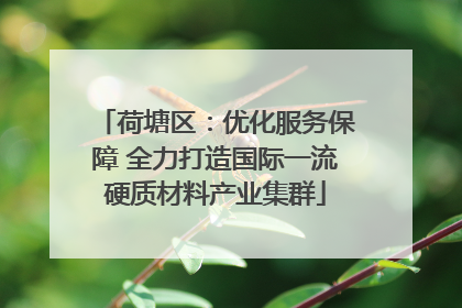 荷塘区：优化服务保障 全力打造国际一流硬质材料产业集群