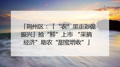 荆州区：「“农”墨重彩促振兴」抢“鲜”上市 “采摘经济”助农“甜蜜增收”