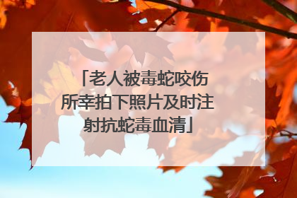 老人被毒蛇咬伤 所幸拍下照片及时注射抗蛇毒血清