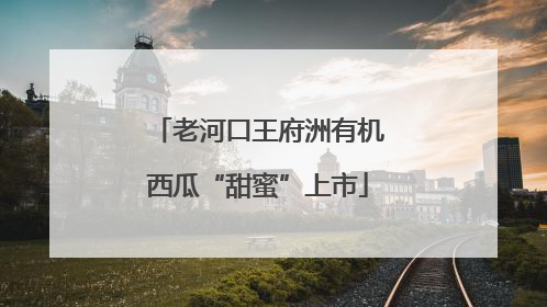 老河口王府洲有机西瓜“甜蜜”上市