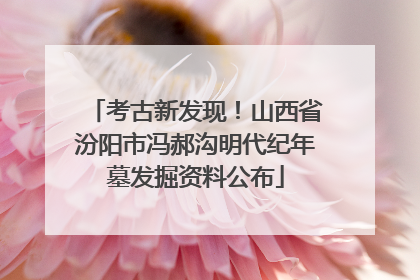 考古新发现！山西省汾阳市冯郝沟明代纪年墓发掘资料公布