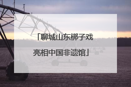 聊城山东梆子戏亮相中国非遗馆