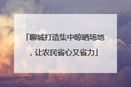 聊城打造集中晾晒场地，让农民省心又省力