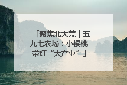 聚焦北大荒｜五九七农场：小樱桃带红“大产业”