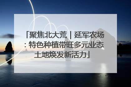 聚焦北大荒｜延军农场：特色种植带旺多元业态 土地焕发新活力