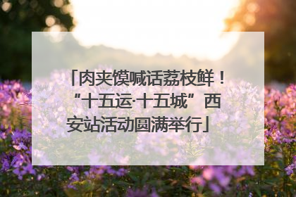 肉夹馍喊话荔枝鲜！“十五运·十五城”西安站活动圆满举行