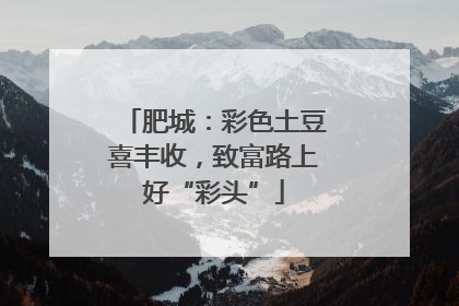 肥城：彩色土豆喜丰收，致富路上好“彩头”