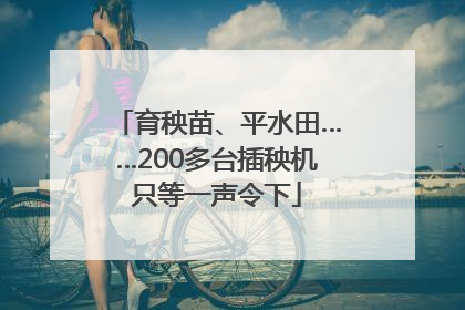 育秧苗、平水田……200多台插秧机只等一声令下