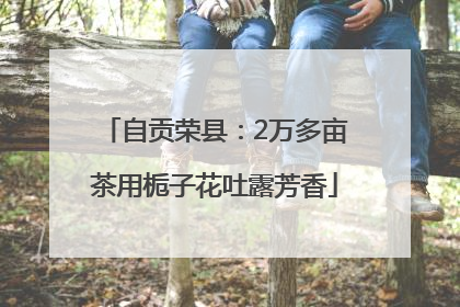 自贡荣县：2万多亩茶用栀子花吐露芳香