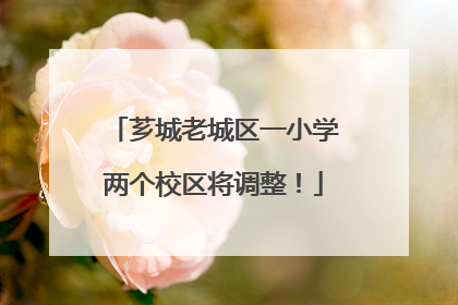 芗城老城区一小学两个校区将调整！