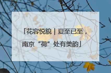 花容悦貌｜夏至已至，南京“荷”处有美韵