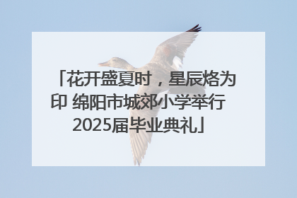 花开盛夏时，星辰烙为印 绵阳市城郊小学举行2025届毕业典礼