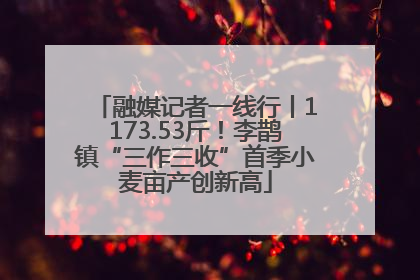 融媒记者一线行丨1173.53斤！李鹊镇“三作三收”首季小麦亩产创新高