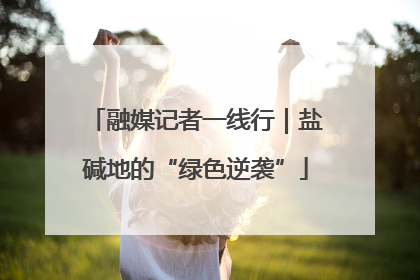 融媒记者一线行｜盐碱地的“绿色逆袭”