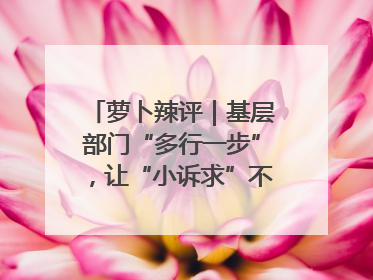 萝卜辣评｜基层部门“多行一步”，让“小诉求”不缺席法治守护
