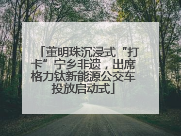 董明珠沉浸式“打卡”宁乡非遗，出席格力钛新能源公交车投放启动式