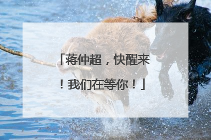 蒋仲超，快醒来！我们在等你！