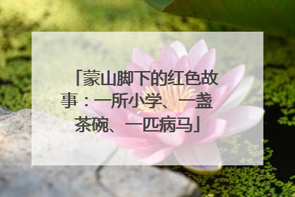 蒙山脚下的红色故事：一所小学、一盏茶碗、一匹病马