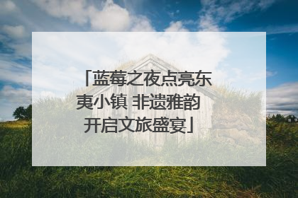 蓝莓之夜点亮东夷小镇 非遗雅韵开启文旅盛宴
