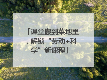 课堂搬到菜地里，解锁“劳动+科学”新课程