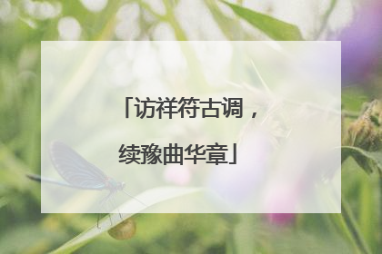 访祥符古调，续豫曲华章