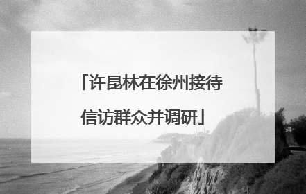 许昆林在徐州接待信访群众并调研