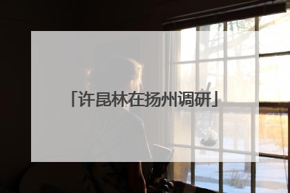 许昆林在扬州调研