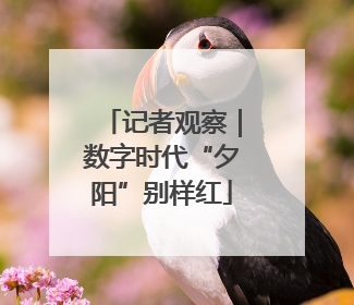 记者观察｜数字时代“夕阳”别样红