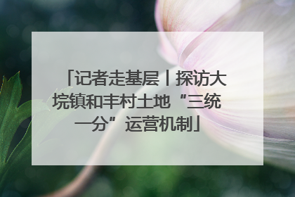 记者走基层丨探访大垸镇和丰村土地“三统一分”运营机制