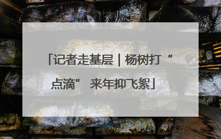 记者走基层｜杨树打“点滴” 来年抑飞絮